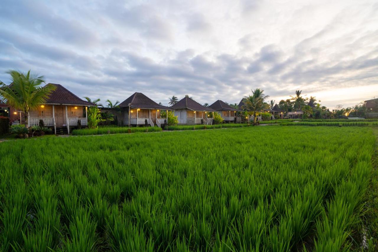 Uma Sebatu Villa Tegallalang  Exterior photo
